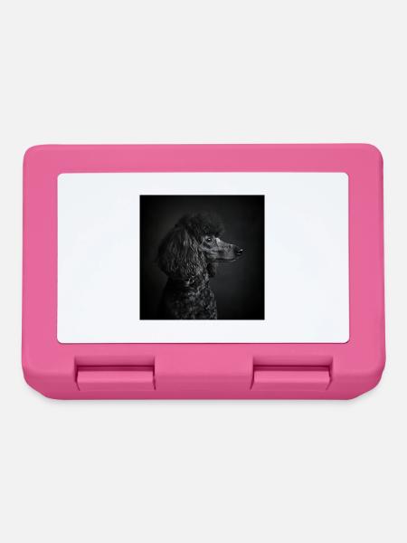 Black Animals - Black Poodle - Brotdose - Pink