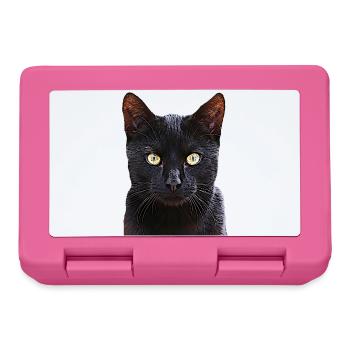 Cat black cat cats cat cats - Lunchbox - pink - Front