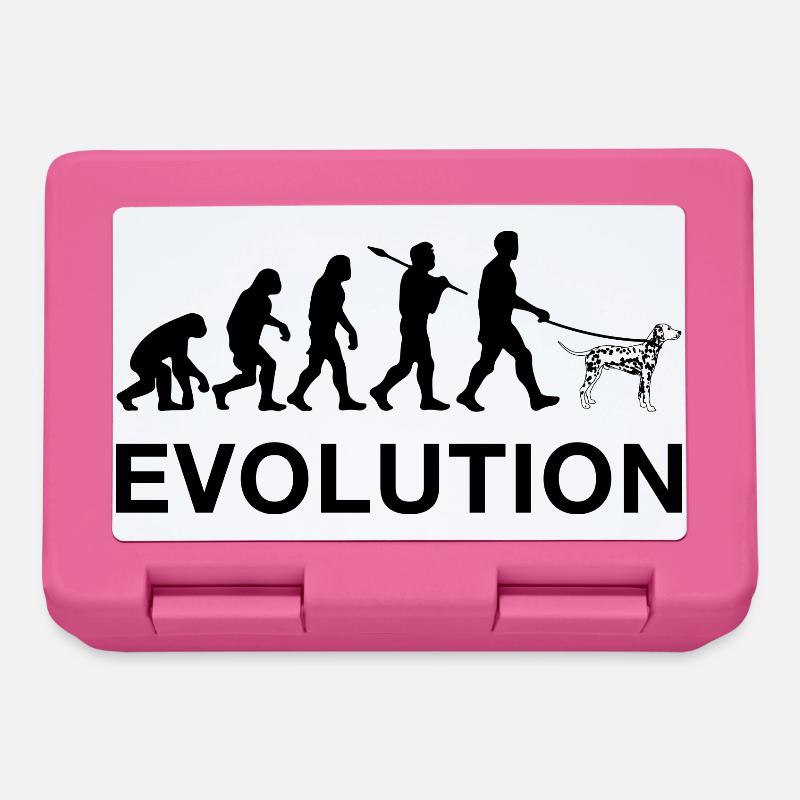 Evolution - Lunchbox - pink