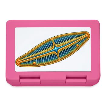Kieselalge – Goldene Diatomee Mikroskopie - Brotdose - Pink - Vorne