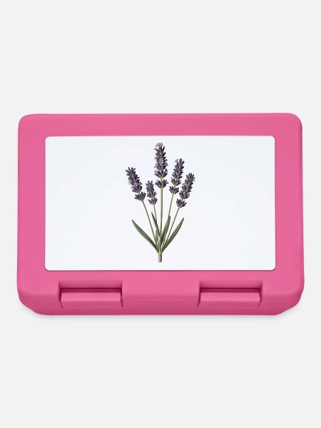 Lavendel-Botanische Gravur - Brotdose - Pink