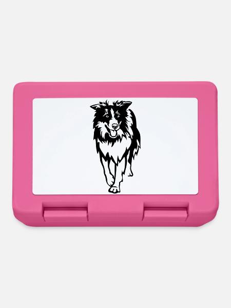 Border Collie - Brotdose - Pink