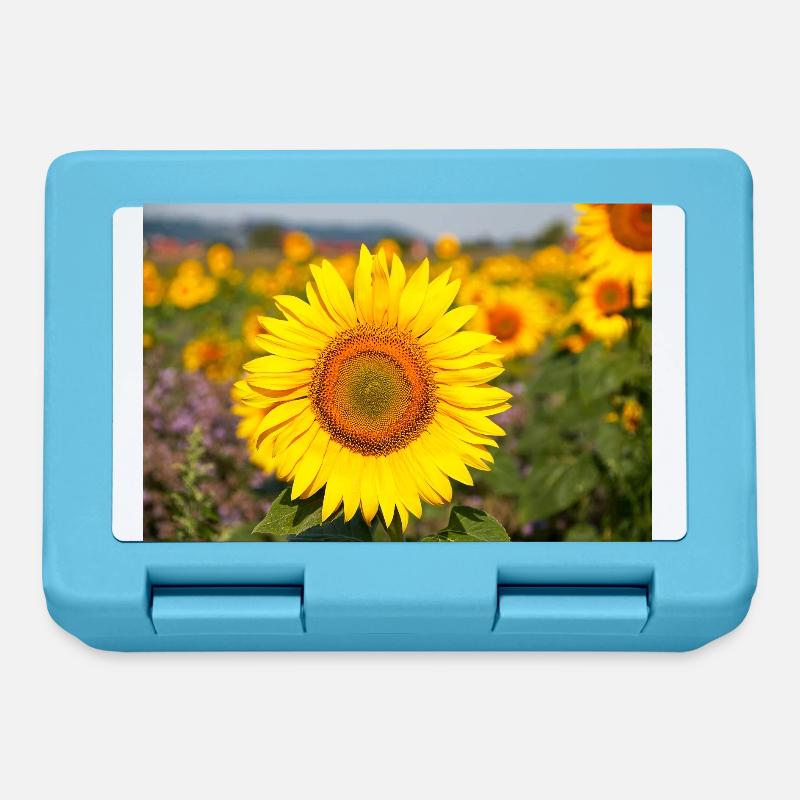 Tournesol Tête de fleur se distingue d’un champ - Boîte à goûter - bleu saphir