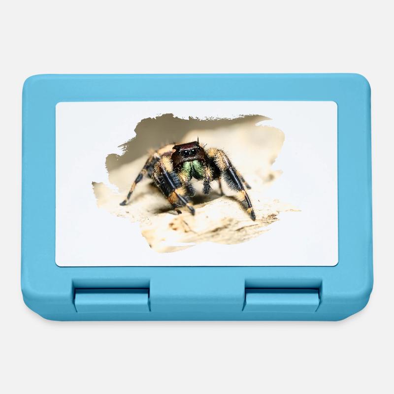 phidippus otiosus jumping spider, spring spinne - Brotdose - Saphirblau