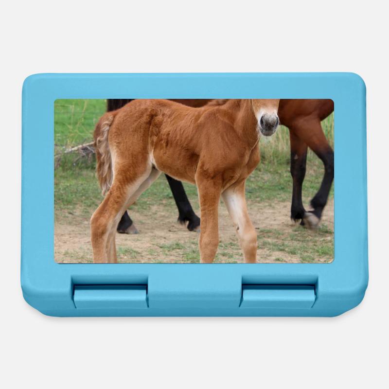 Affiche Cheval Cheval - Boîte à goûter - bleu saphir