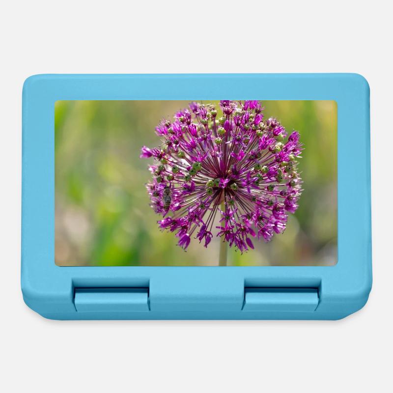 Gros plan d’une fleur violette - Poireau géant - Boîte à goûter - bleu saphir