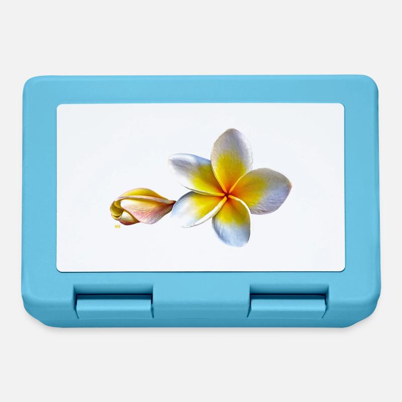 Weisse plumeria oder Frangipani Blume - Brotdose - Saphirblau