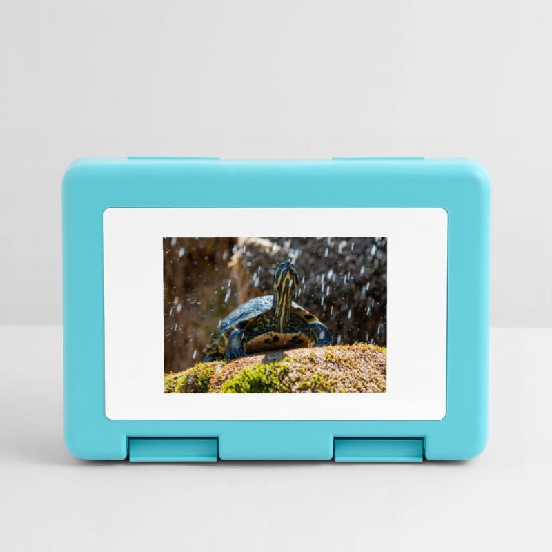 Trachemys scripta scripta scripta Boîte à goûter