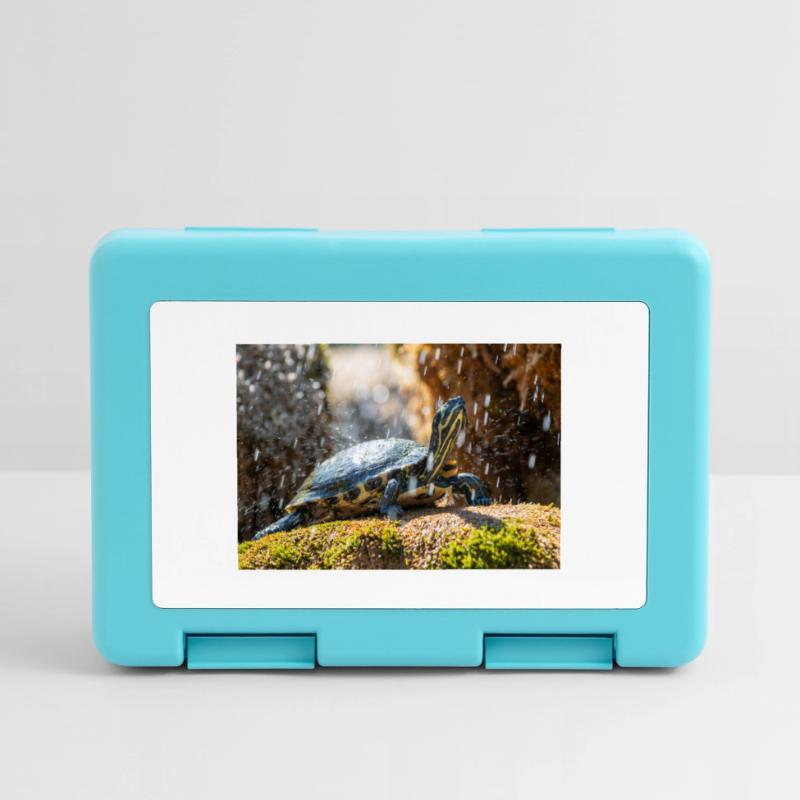 Trachemys scripta scripta scripta Boîte à goûter