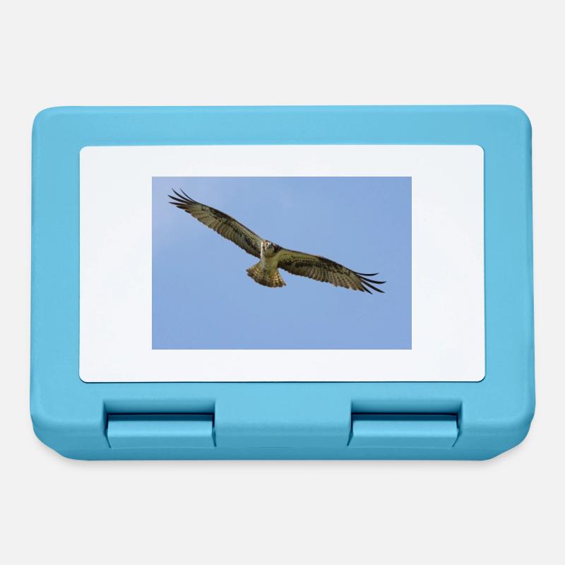 Osprey - Lunchbox - sapphire blue
