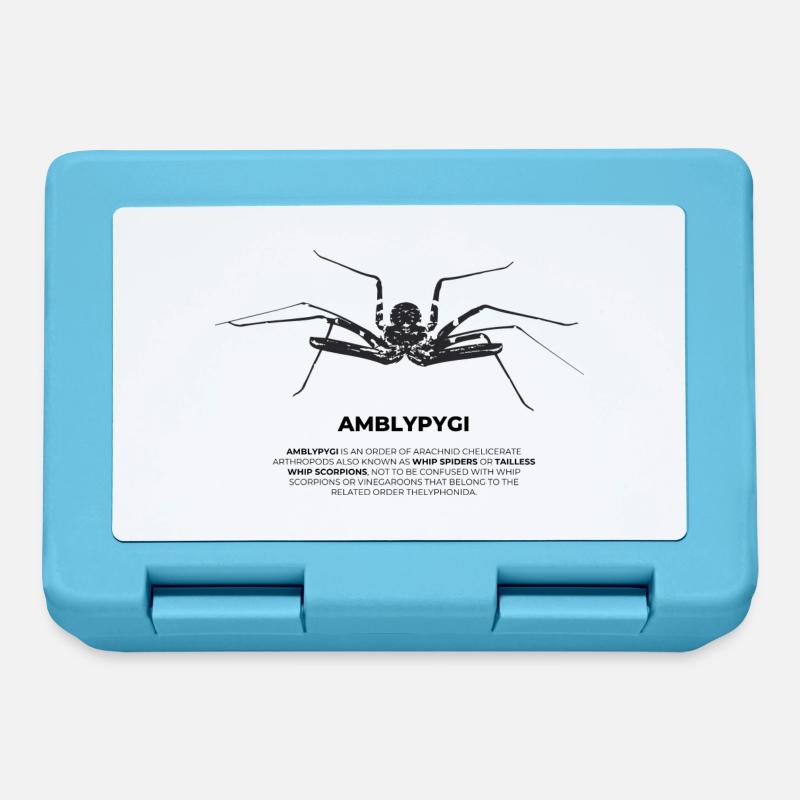 Geißelspinne - Amblypygi - Brotdose - Saphirblau