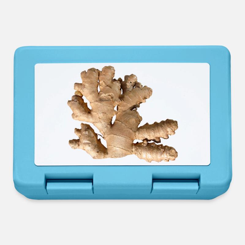 Ginger - Lunchbox - sapphire blue