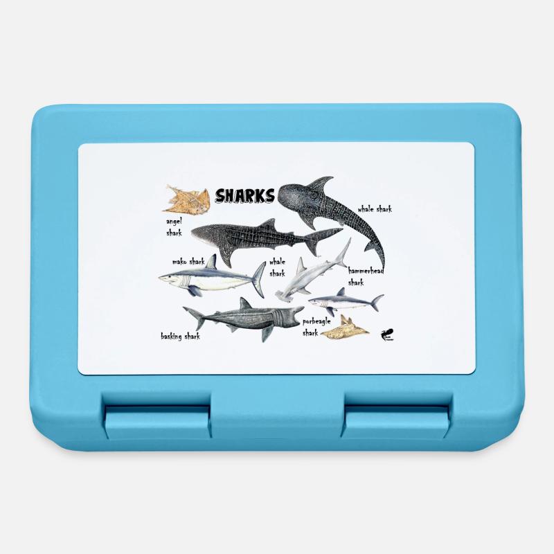 Requins du monde: baleine, maraîche, poisson-ange - Boîte à goûter - bleu saphir