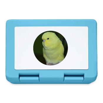Budgies yellow budgie parakeet - Lunchbox - sapphire blue - Front