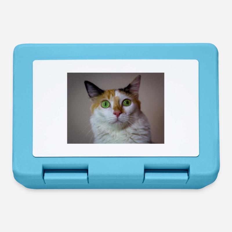 Die Katze mit dem süßen Look - Brotdose - Saphirblau