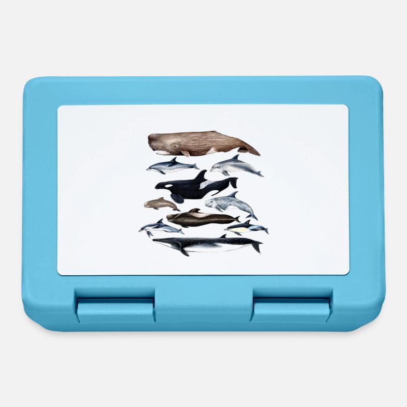 Cétacés Cétacés baleines et Delfines - Cétacés - Boîte à goûter - bleu saphir