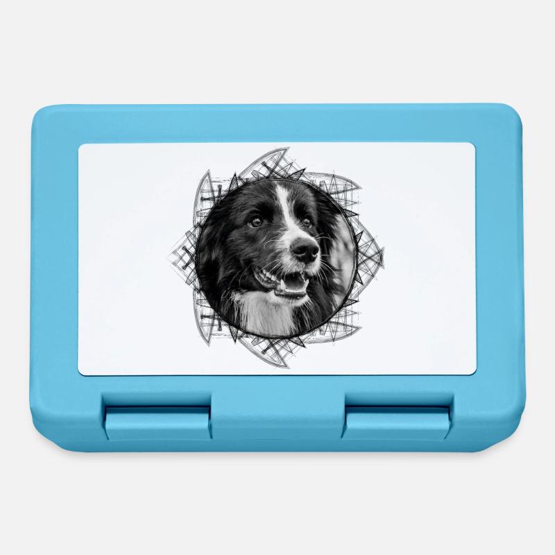 Border Collie - Brotdose - Saphirblau