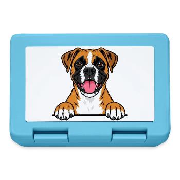 Boxer - Brotdose - Saphirblau - Vorne