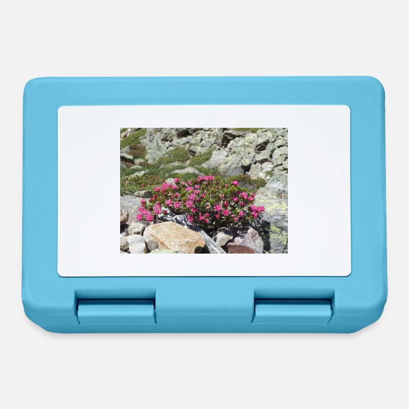 Alpine roses - Lunchbox - sapphire blue
