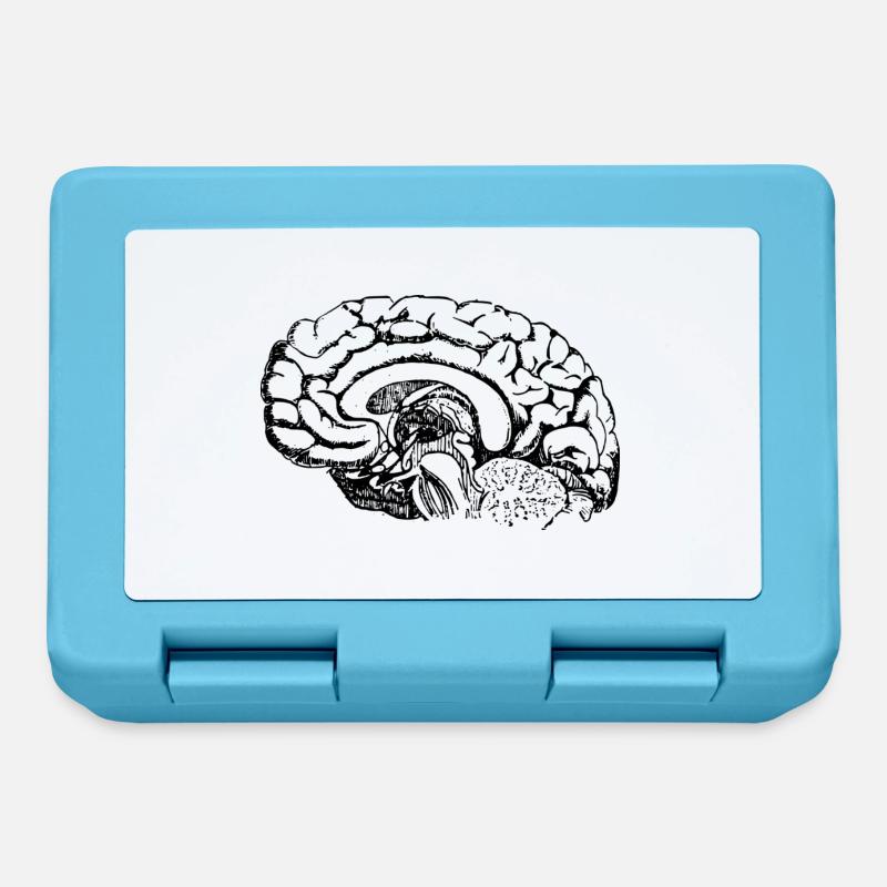 l'anatomie du cerveau - Boîte à goûter - bleu saphir