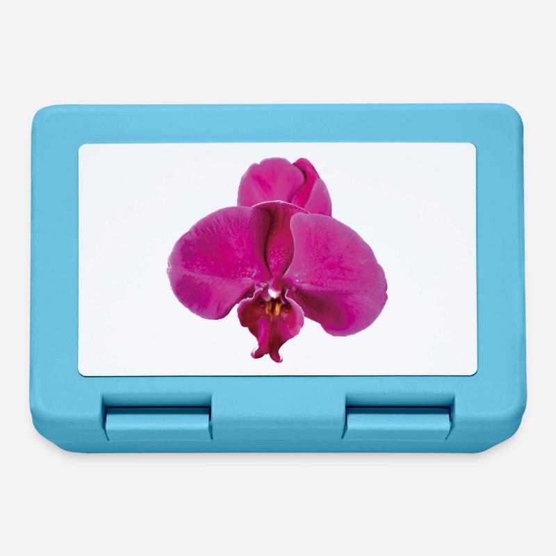 Vivid_Pink_Phalaenopsis_Noth_Orchid_Bloom - Lunchbox - sapphire blue