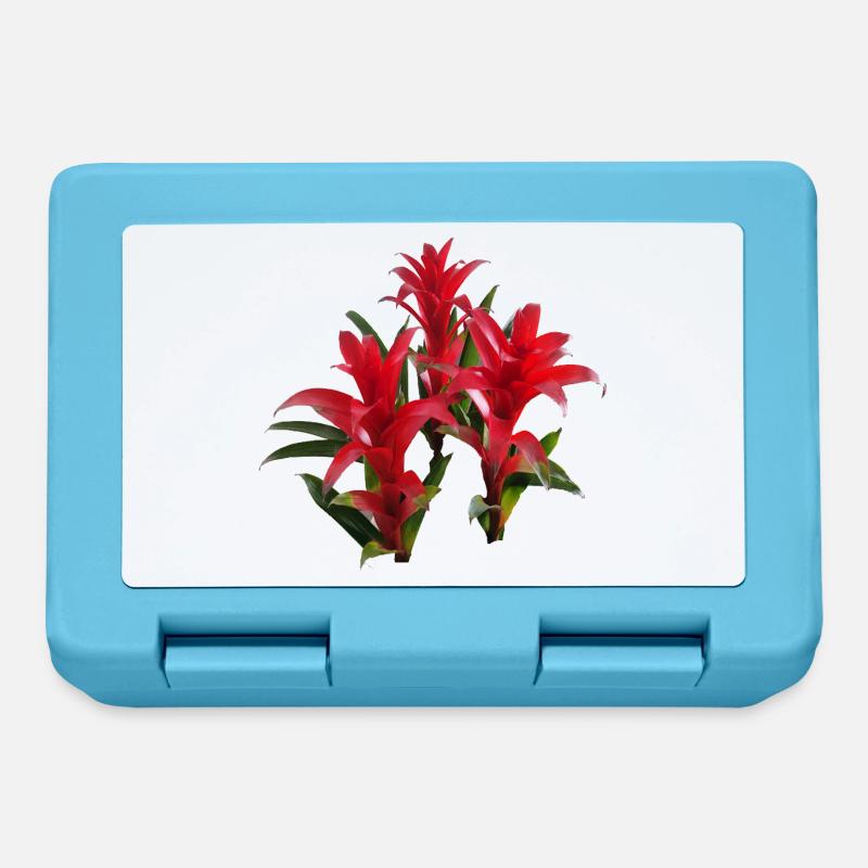 Vibrant_Red_Bromeliads - Boîte à goûter - bleu saphir