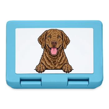 Chesapeake Bay Retriever - Brotdose - Saphirblau - Vorne