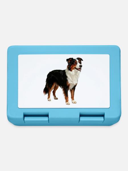 Profil des Australian Shepherd Dogs - Brotdose - Saphirblau