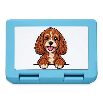Cavapoo - Brotdose - Saphirblau - Vorne