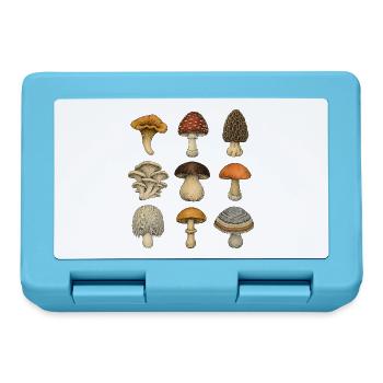 Mushroom Botanica Raster - Brotdose - Saphirblau - Vorne