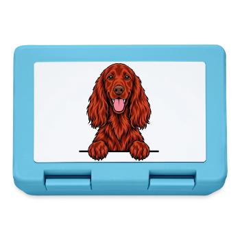 Irischer Setter - Brotdose - Saphirblau - Vorne