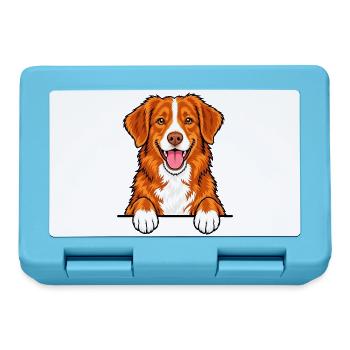 Nova Scotia Duck Tolling Retriever - Brotdose - Saphirblau - Vorne