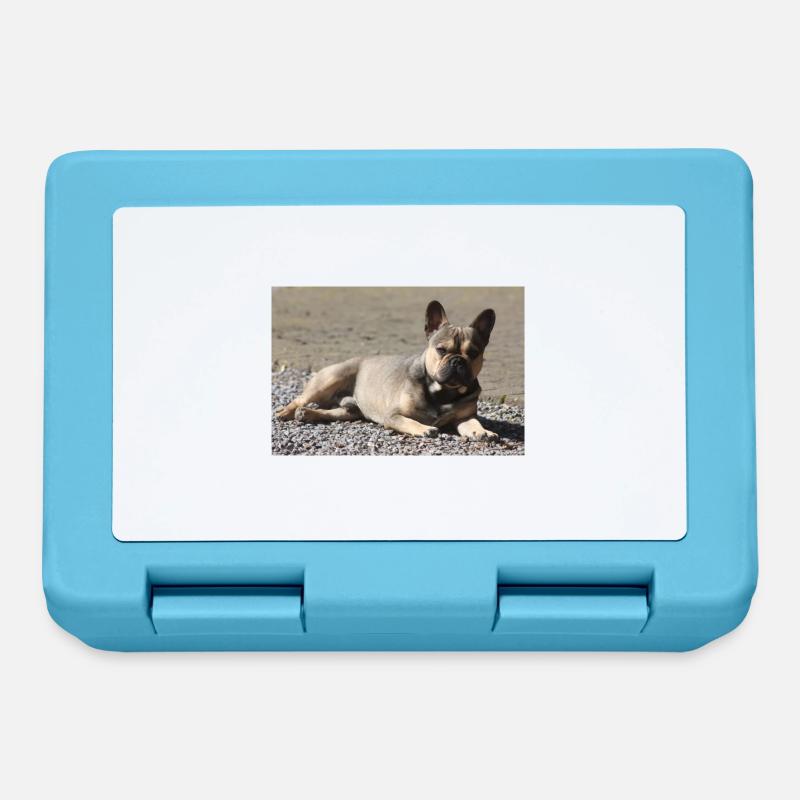Diable bouledogue français petit molose. - Boîte à goûter - bleu saphir