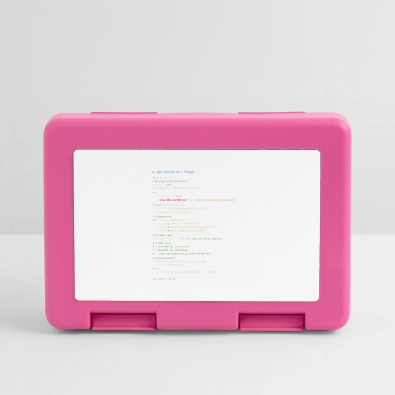 404 Brain Not Found Python Code Lunchbox