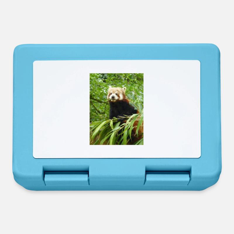Red Panda - Lunchbox - sapphire blue