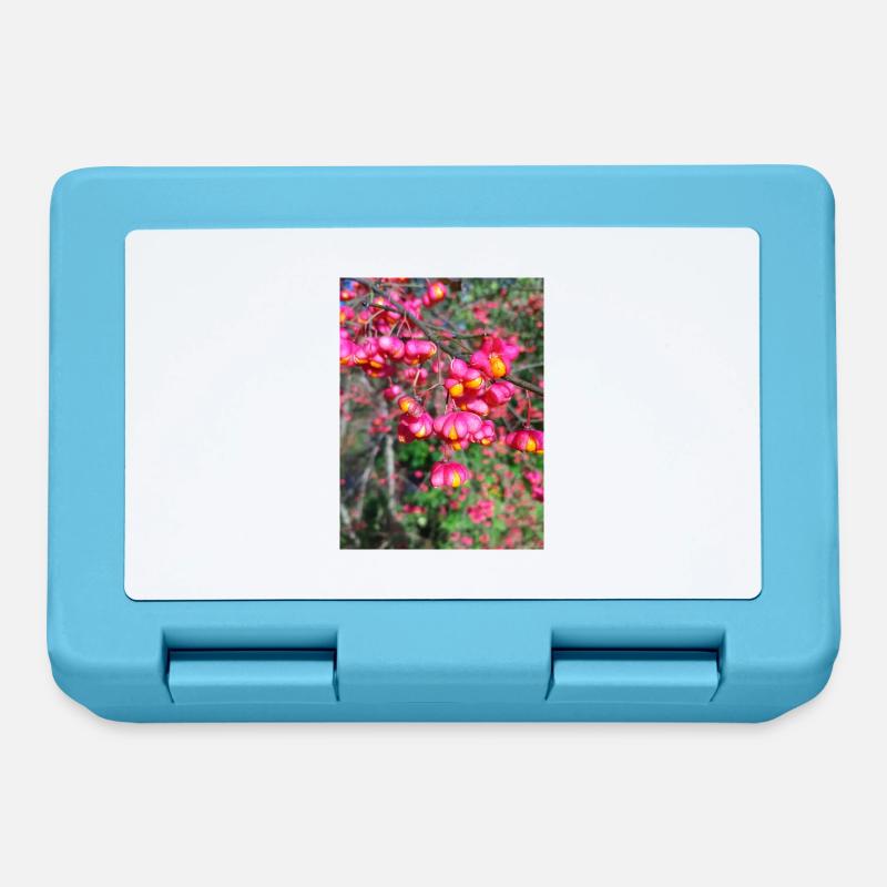 Spindle tree - Lunchbox - sapphire blue