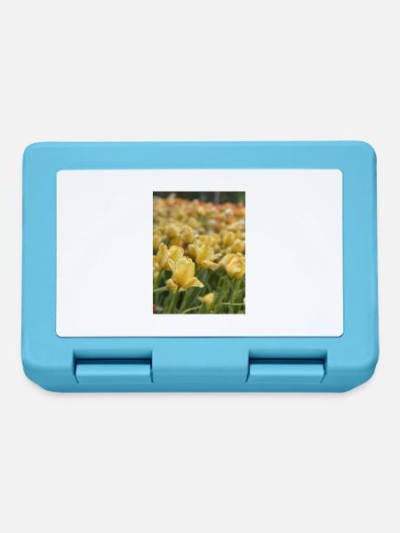 Tulip Sea yellow - Lunchbox - sapphire blue