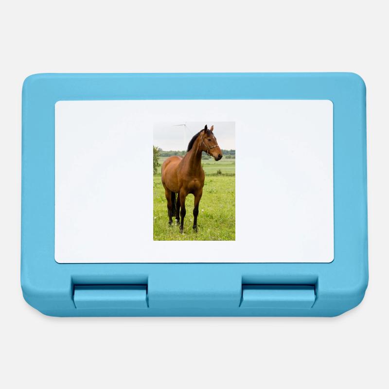 Cheval. Cheval. - Boîte à goûter - bleu saphir