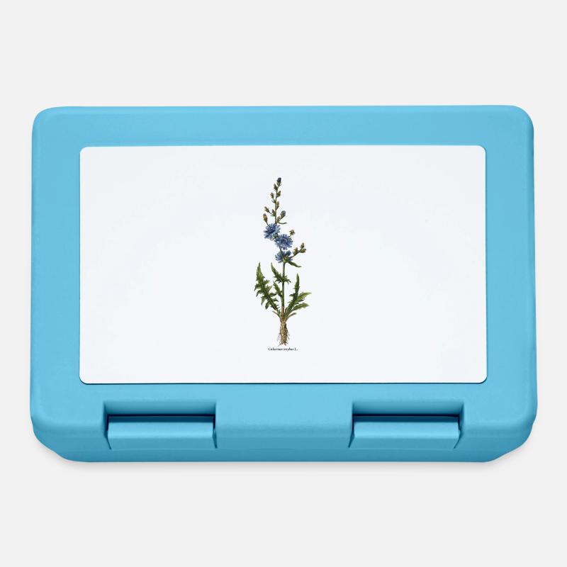 Chicory - Lunchbox - sapphire blue