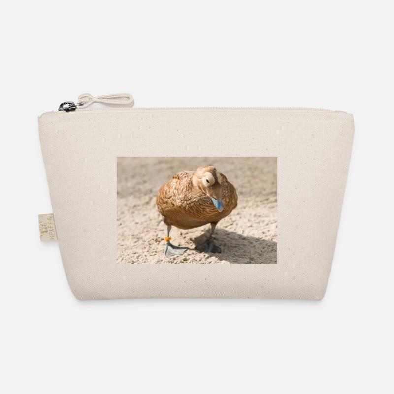 Eider Duck (canard Eider, Somateria mollissima) Trousse biologique