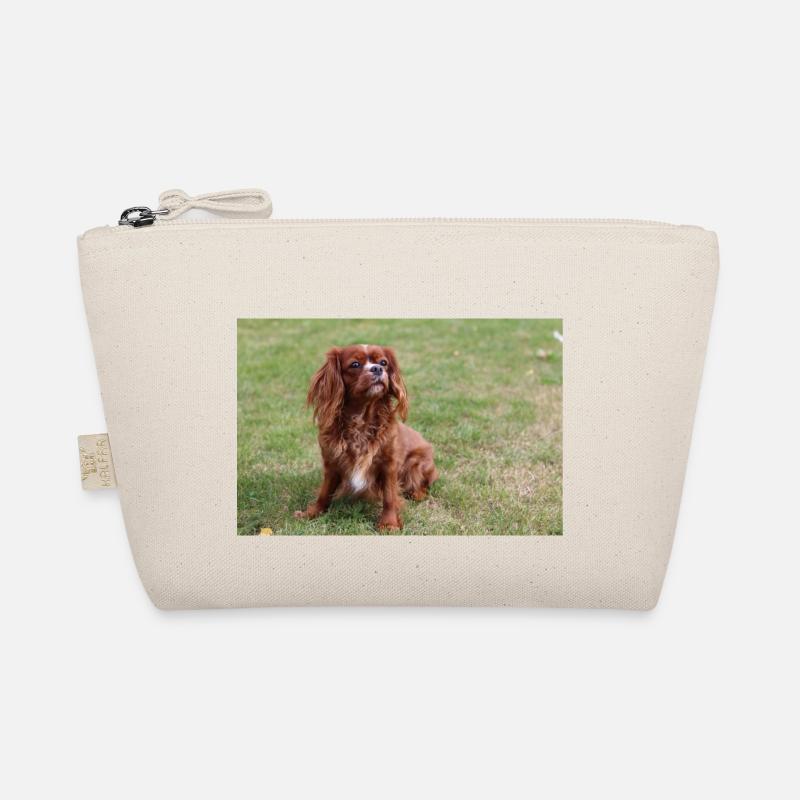 Cavalier King Charles Spaniel assis Trousse biologique