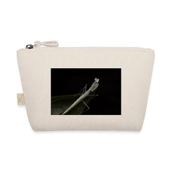 Sinomantis denticulata nymphe - mante de verre - Trousse biologique - nature - Devant