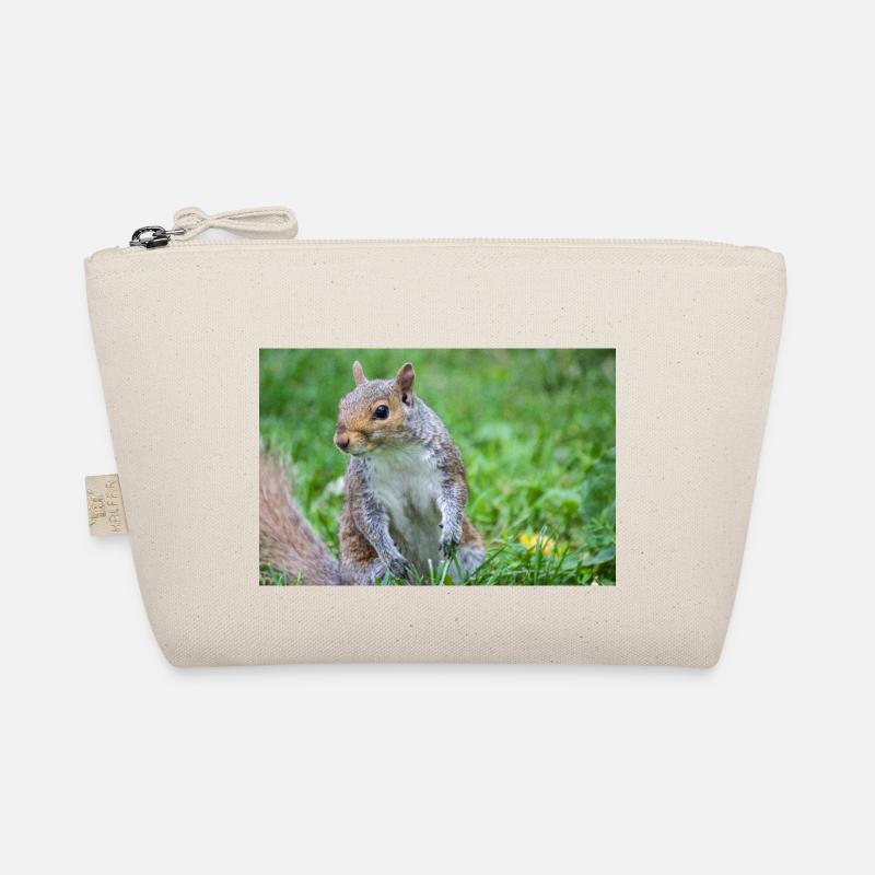 Écureuil gris Grauhörnchen Sciurus carolinensis Trousse biologique