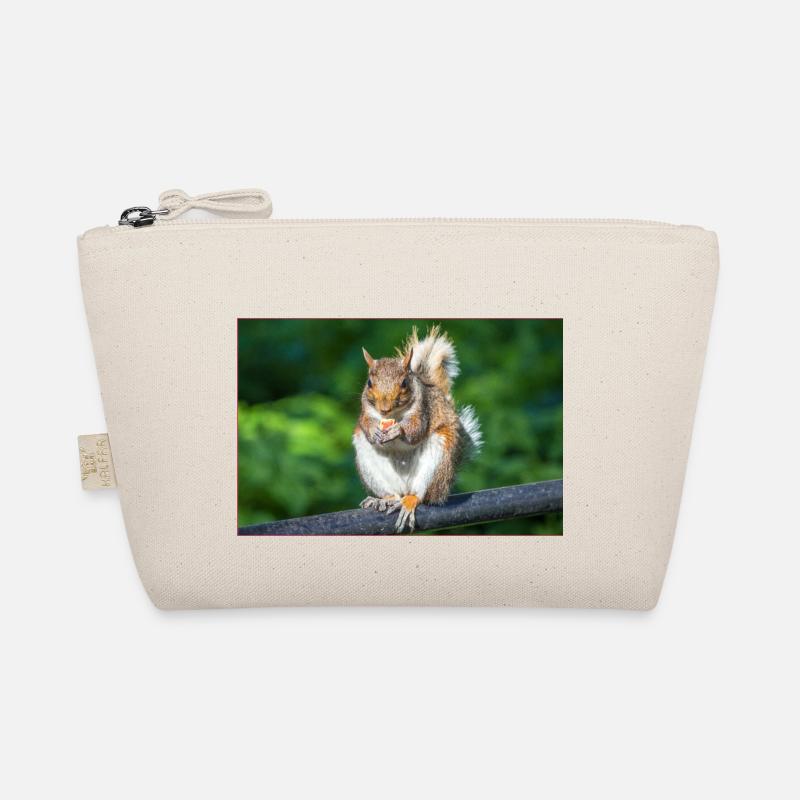 Manger Écureuil gris Grauhörnchen Sciurus caroline Trousse biologique