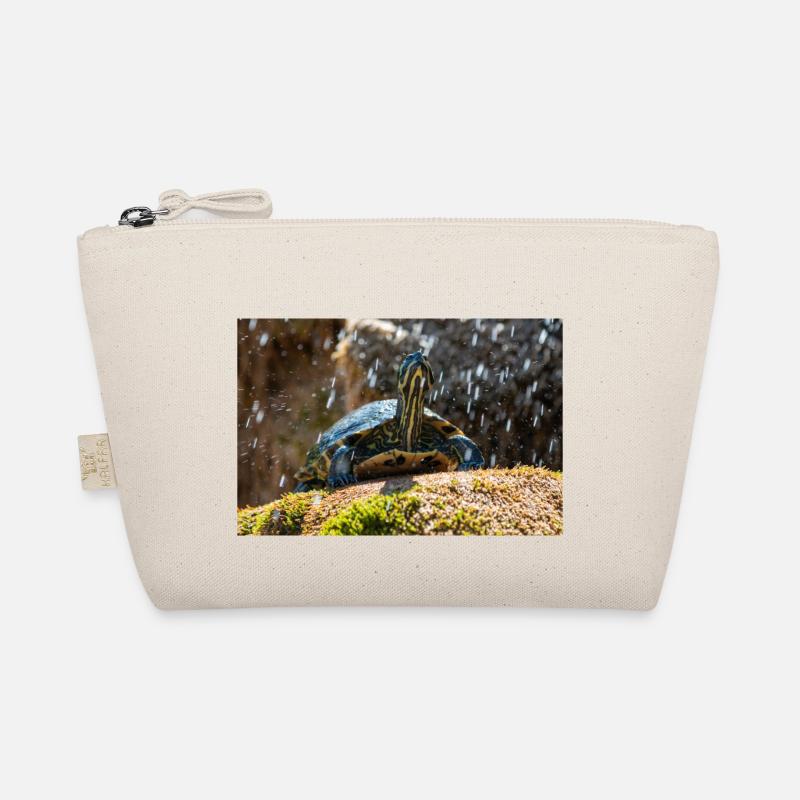 Trachemys scripta scripta scripta Trousse biologique