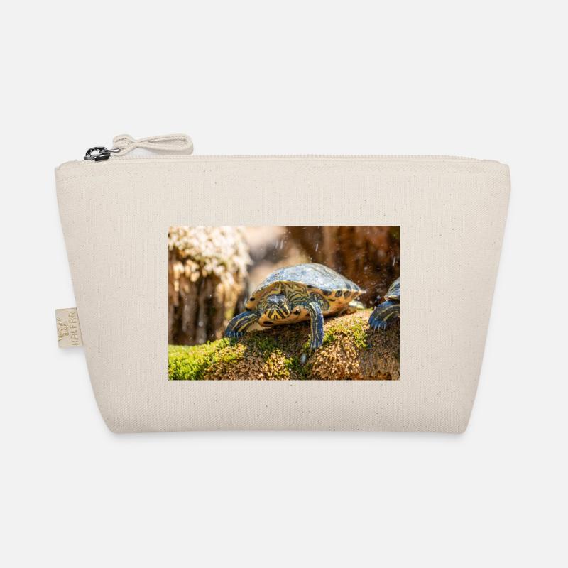 Trachemys scripta scripta scripta Trousse biologique