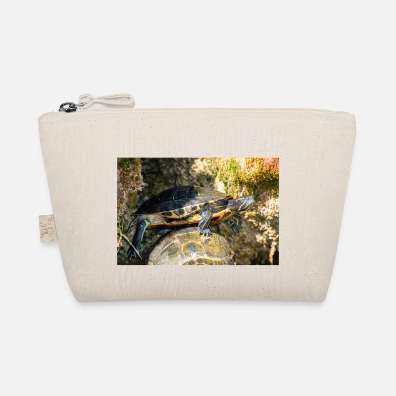 Trachemys scripta scripta scripta Trousse biologique