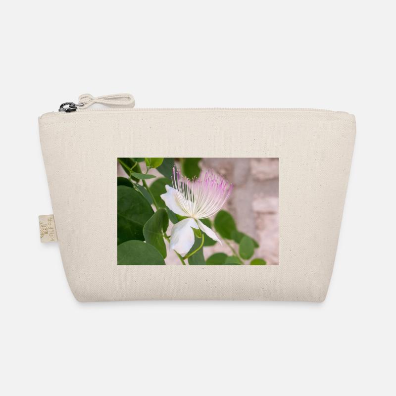câpre aussi Flinders rose Capparis spinosa Trousse biologique