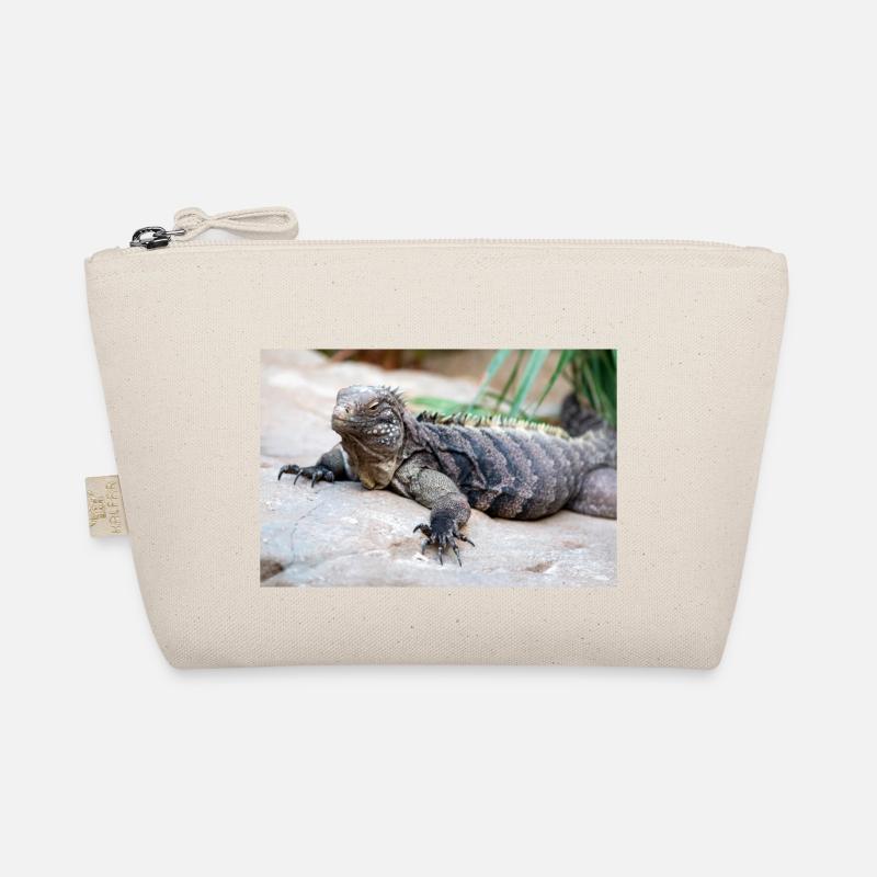 Iguane de roche de Cuba aussi iguane terrestre de Cuba Trousse biologique