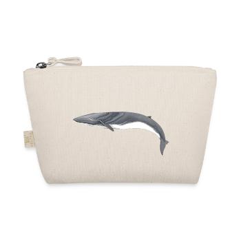 rorquals - rorqual - rorqual commun - Trousse biologique - nature - Devant